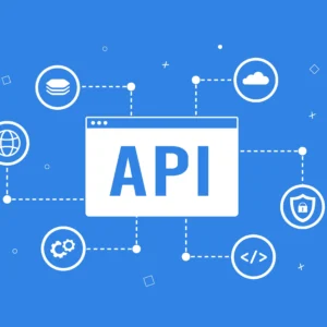 Third-Party API Integration